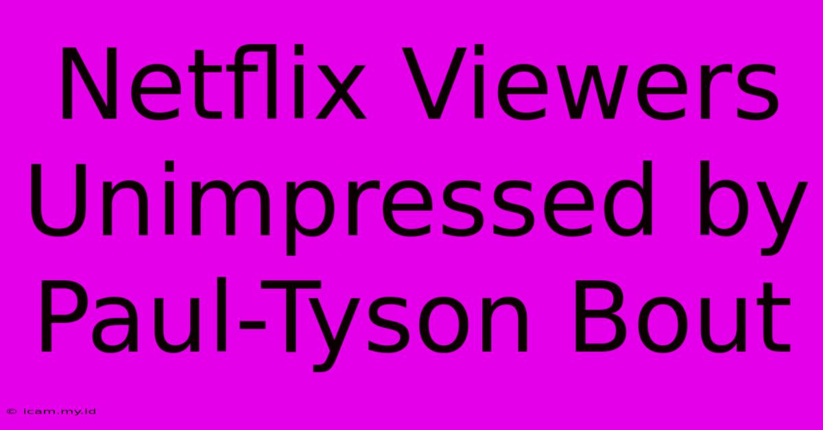 Netflix Viewers Unimpressed By Paul-Tyson Bout