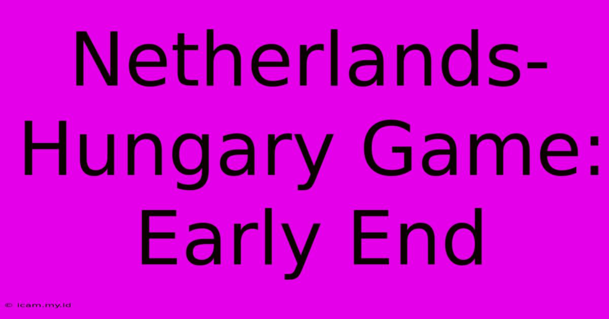 Netherlands-Hungary Game: Early End