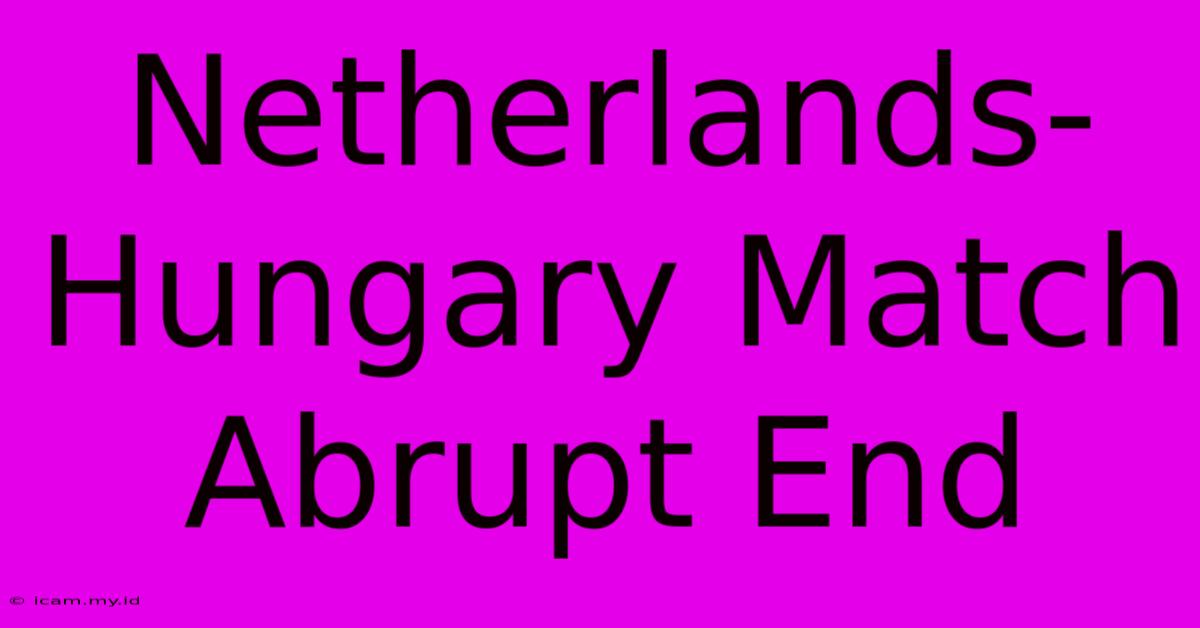 Netherlands-Hungary Match Abrupt End