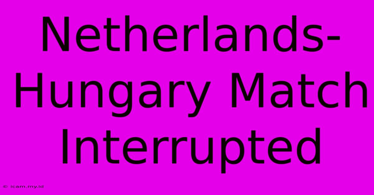 Netherlands-Hungary Match Interrupted