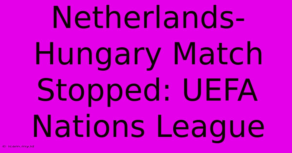 Netherlands-Hungary Match Stopped: UEFA Nations League