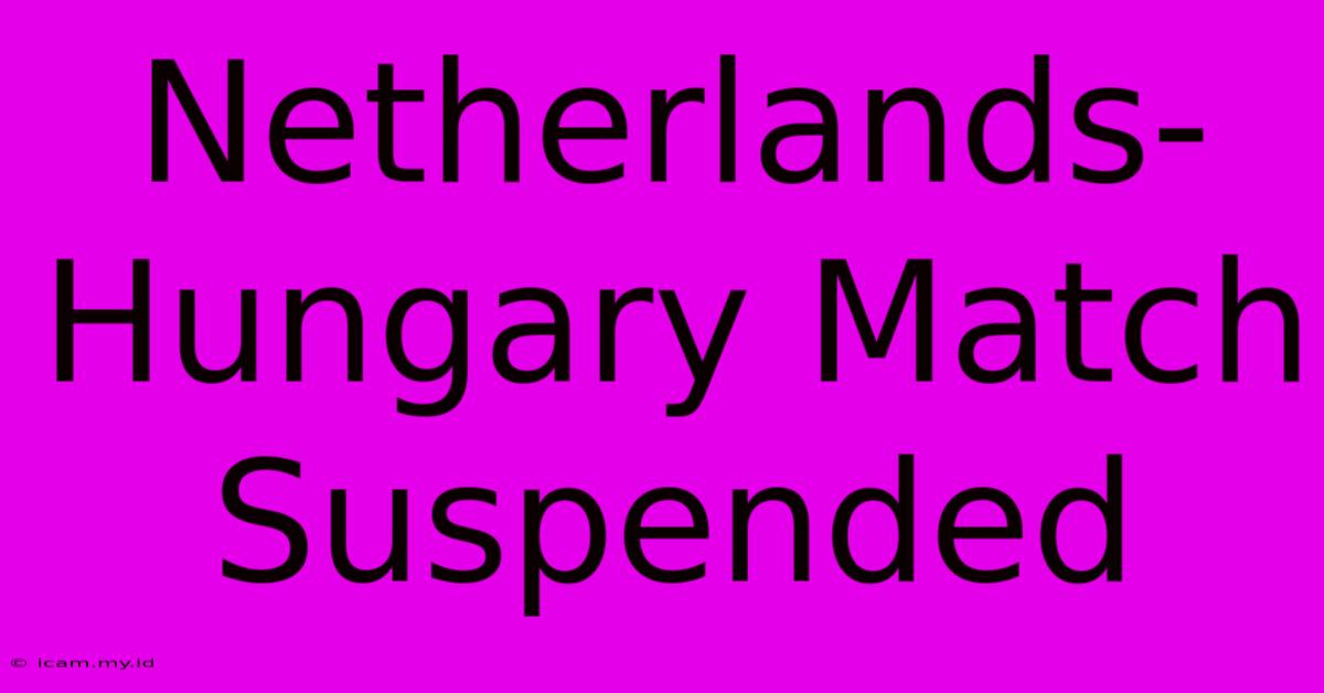 Netherlands-Hungary Match Suspended