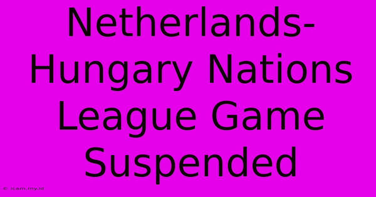 Netherlands-Hungary Nations League Game Suspended