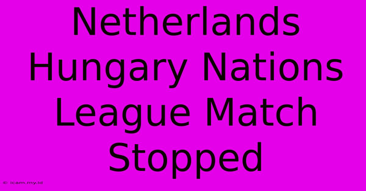 Netherlands Hungary Nations League Match Stopped