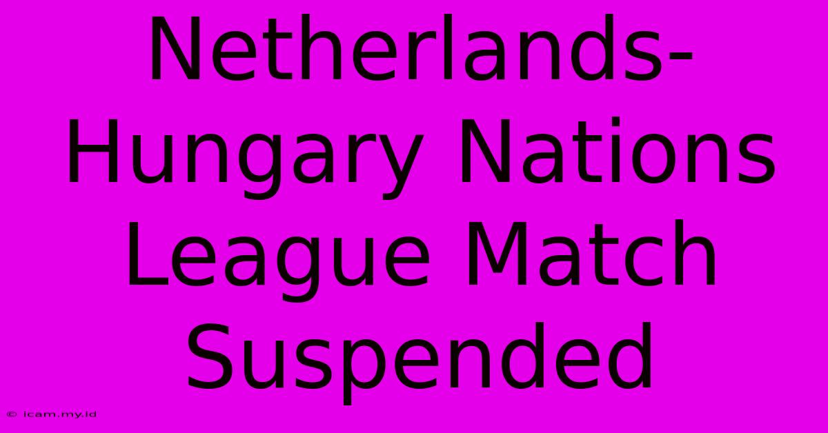 Netherlands-Hungary Nations League Match Suspended