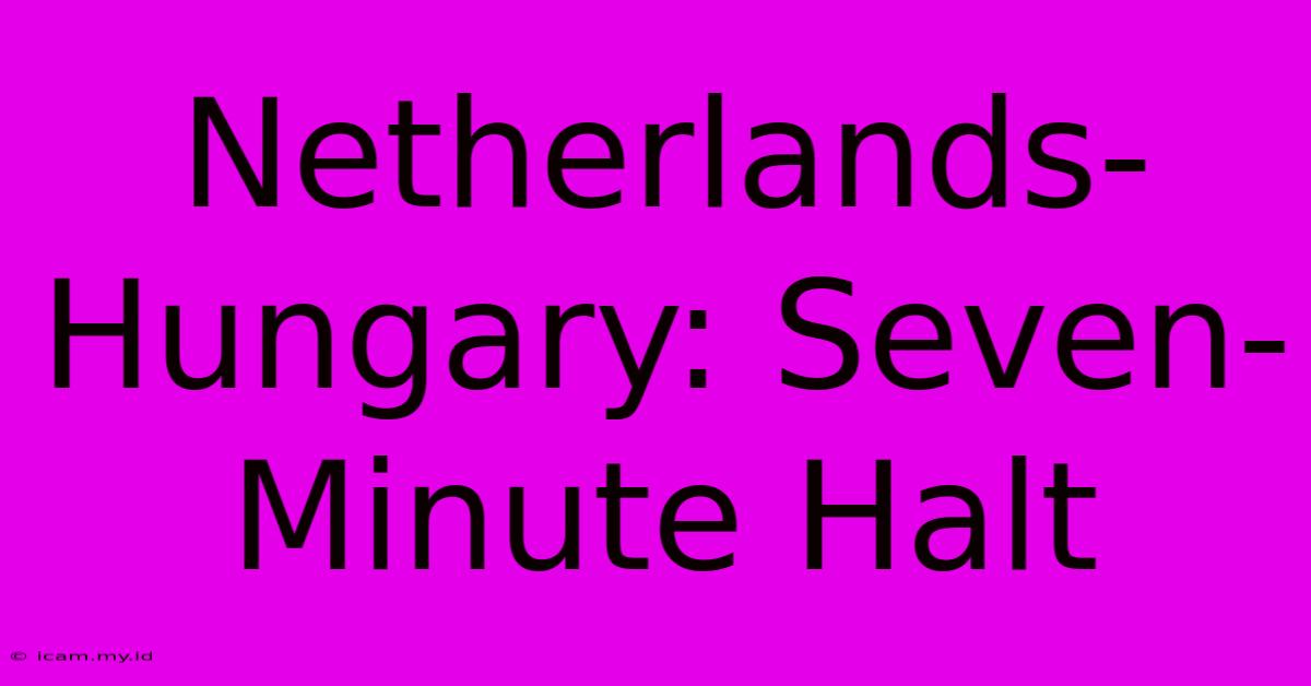 Netherlands-Hungary: Seven-Minute Halt