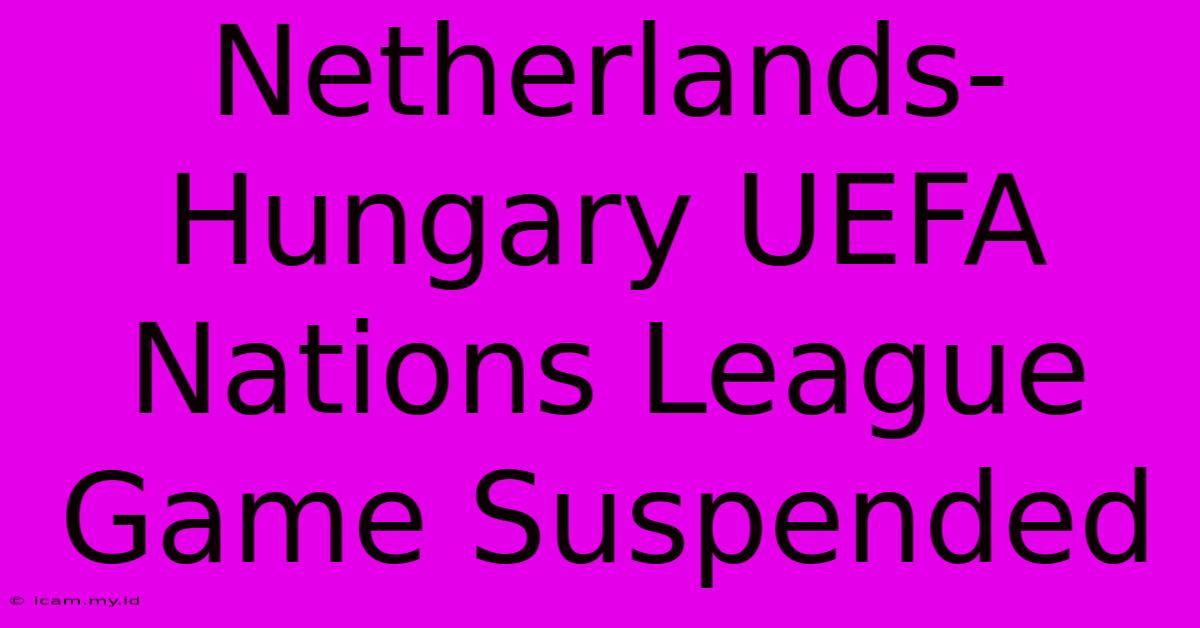 Netherlands-Hungary UEFA Nations League Game Suspended