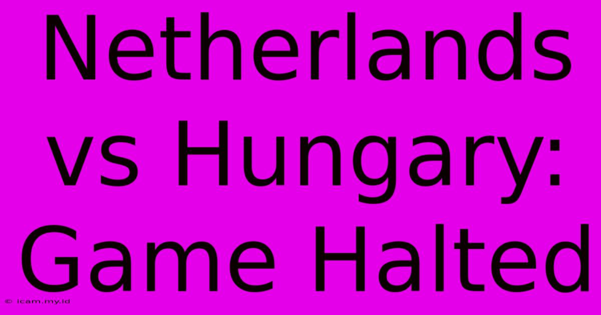 Netherlands Vs Hungary: Game Halted