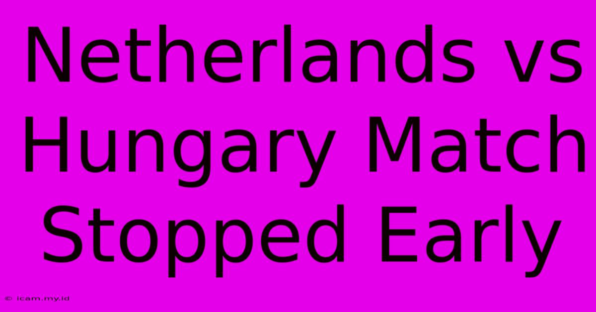 Netherlands Vs Hungary Match Stopped Early