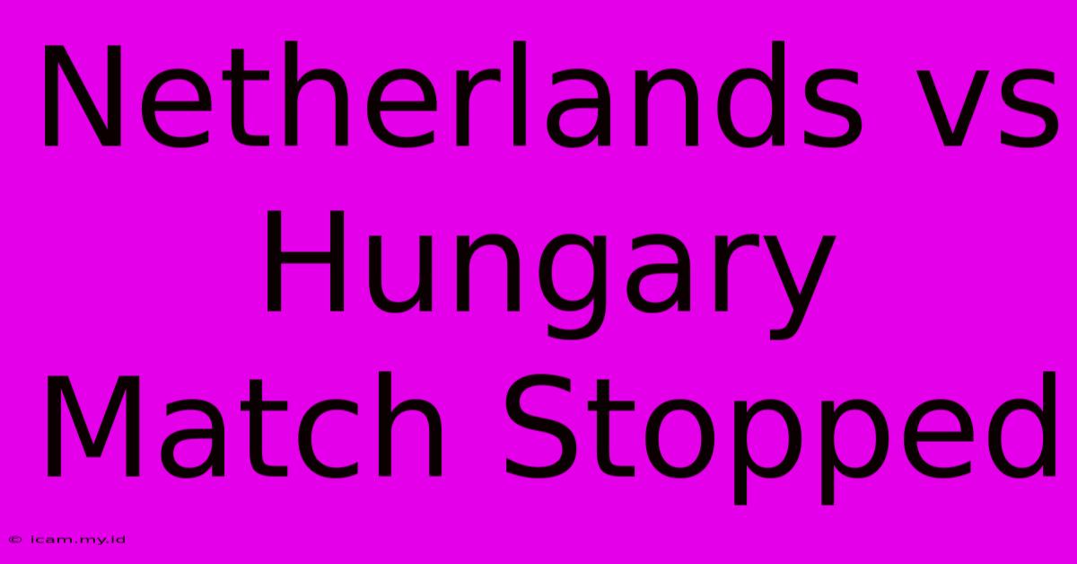 Netherlands Vs Hungary Match Stopped