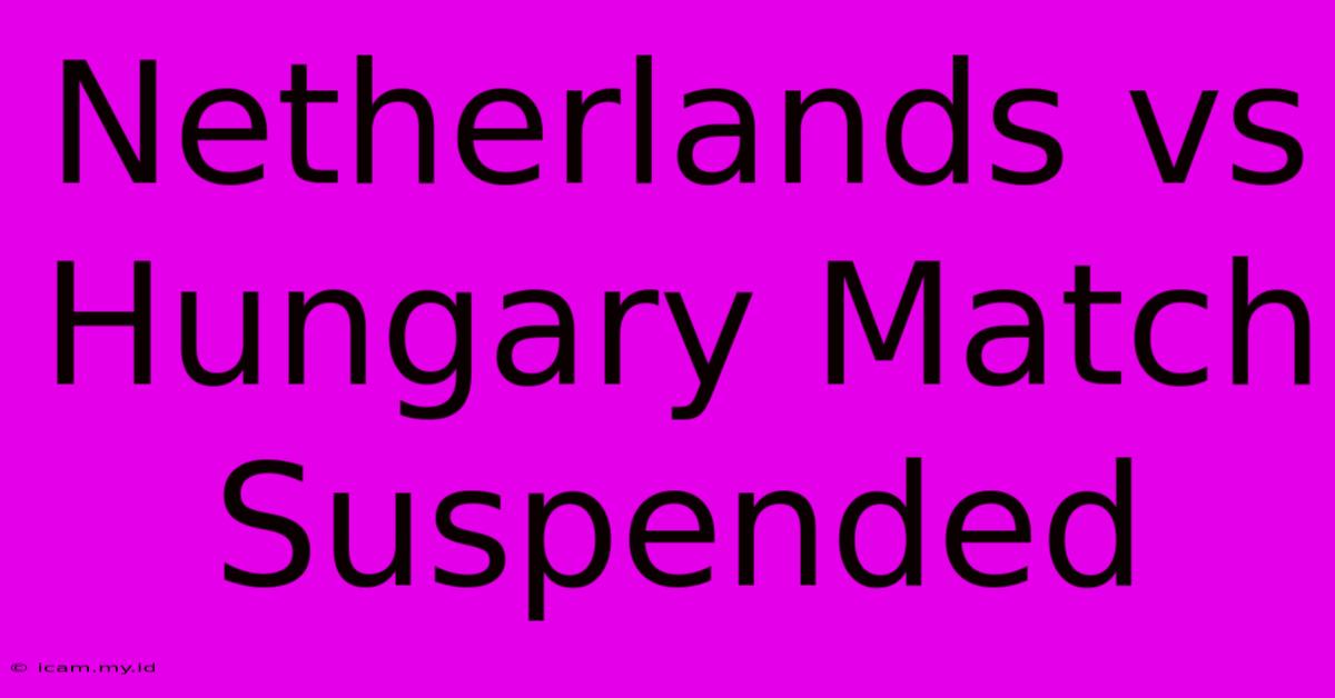 Netherlands Vs Hungary Match Suspended