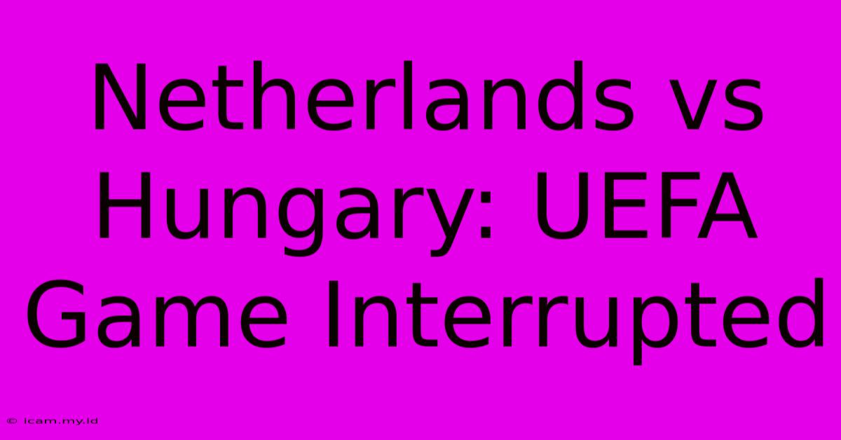 Netherlands Vs Hungary: UEFA Game Interrupted