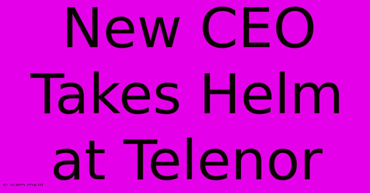 New CEO Takes Helm At Telenor