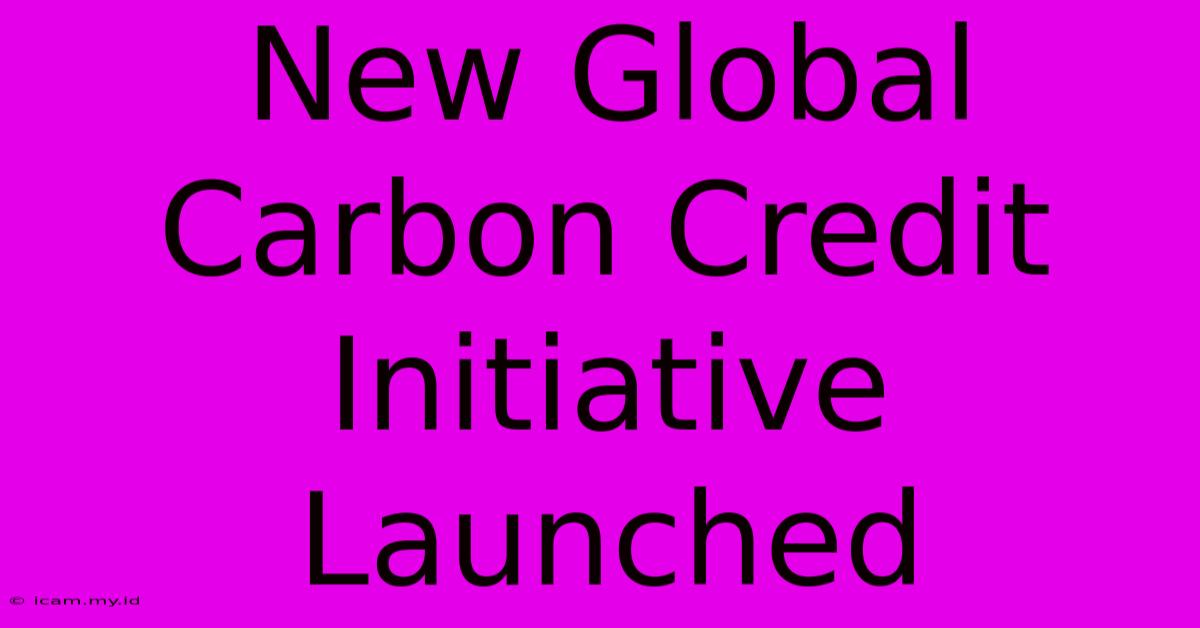 New Global Carbon Credit Initiative Launched