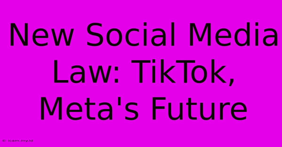 New Social Media Law: TikTok, Meta's Future