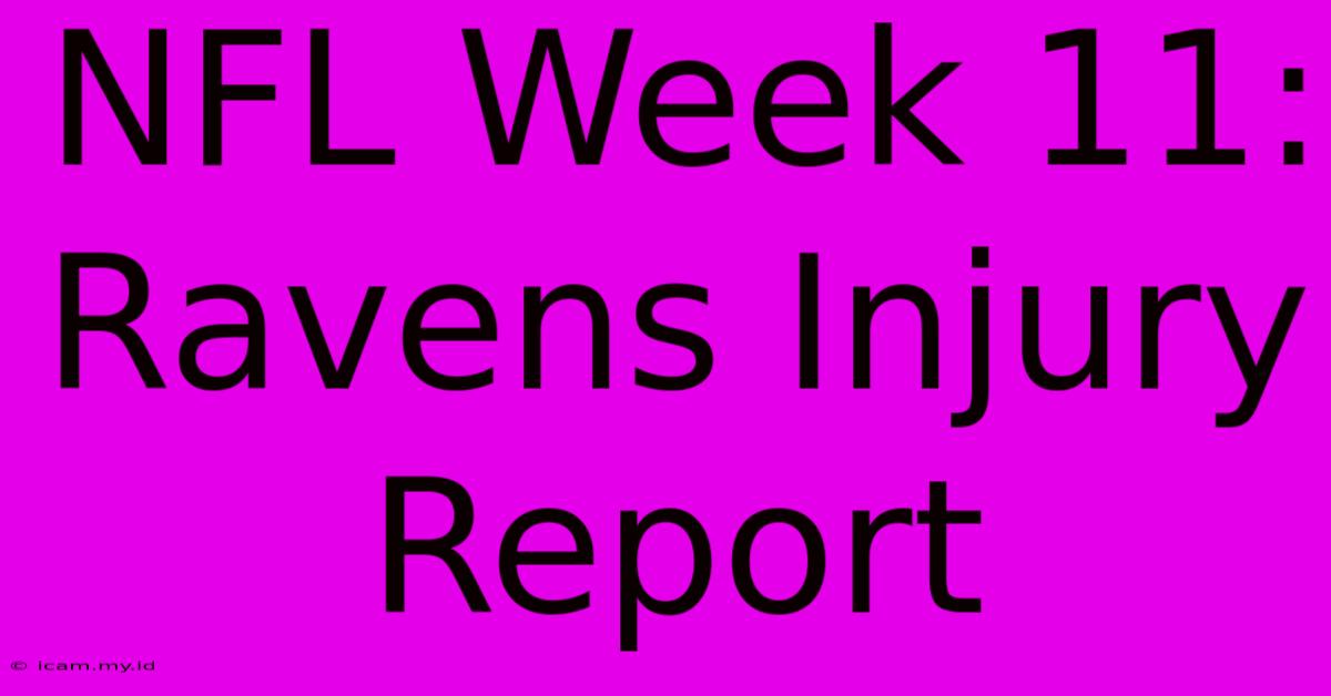 NFL Week 11: Ravens Injury Report