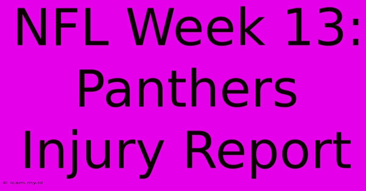 NFL Week 13: Panthers Injury Report