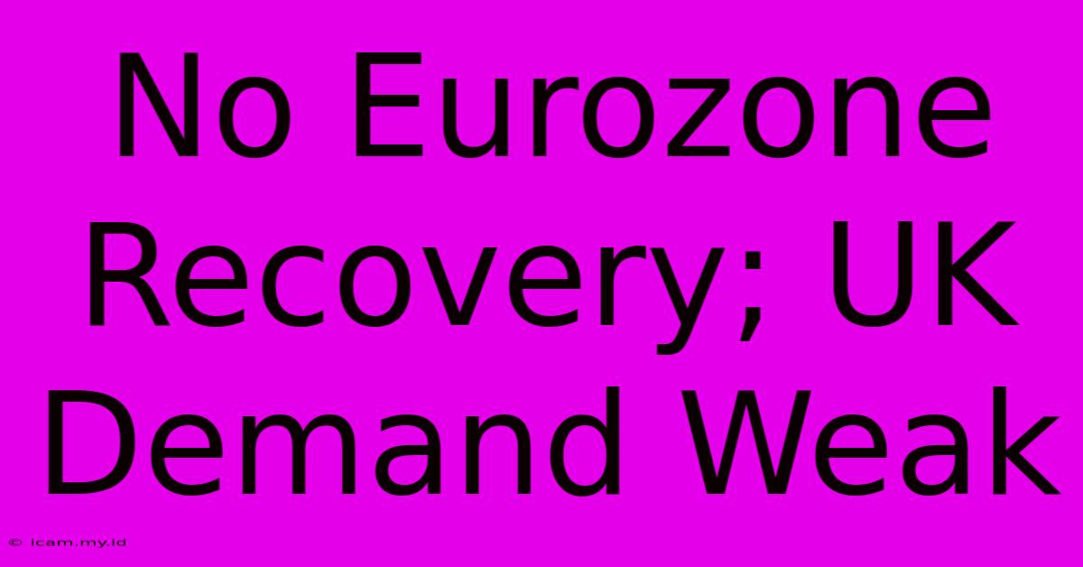 No Eurozone Recovery; UK Demand Weak