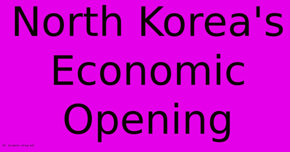 North Korea's Economic Opening