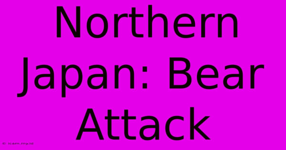 Northern Japan: Bear Attack