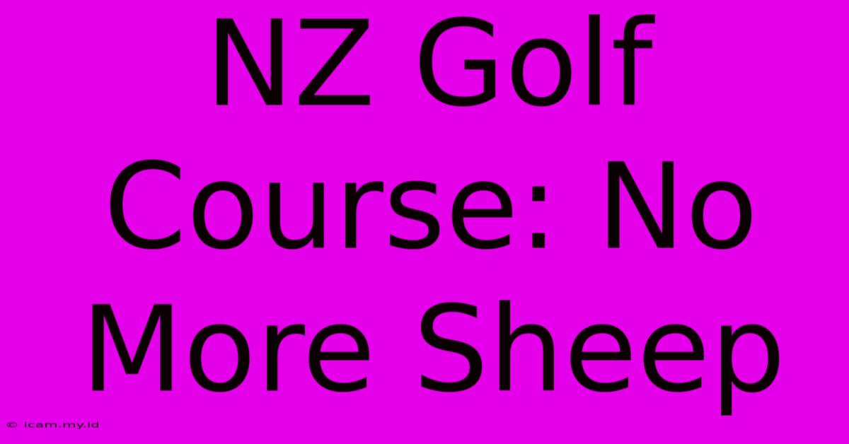 NZ Golf Course: No More Sheep