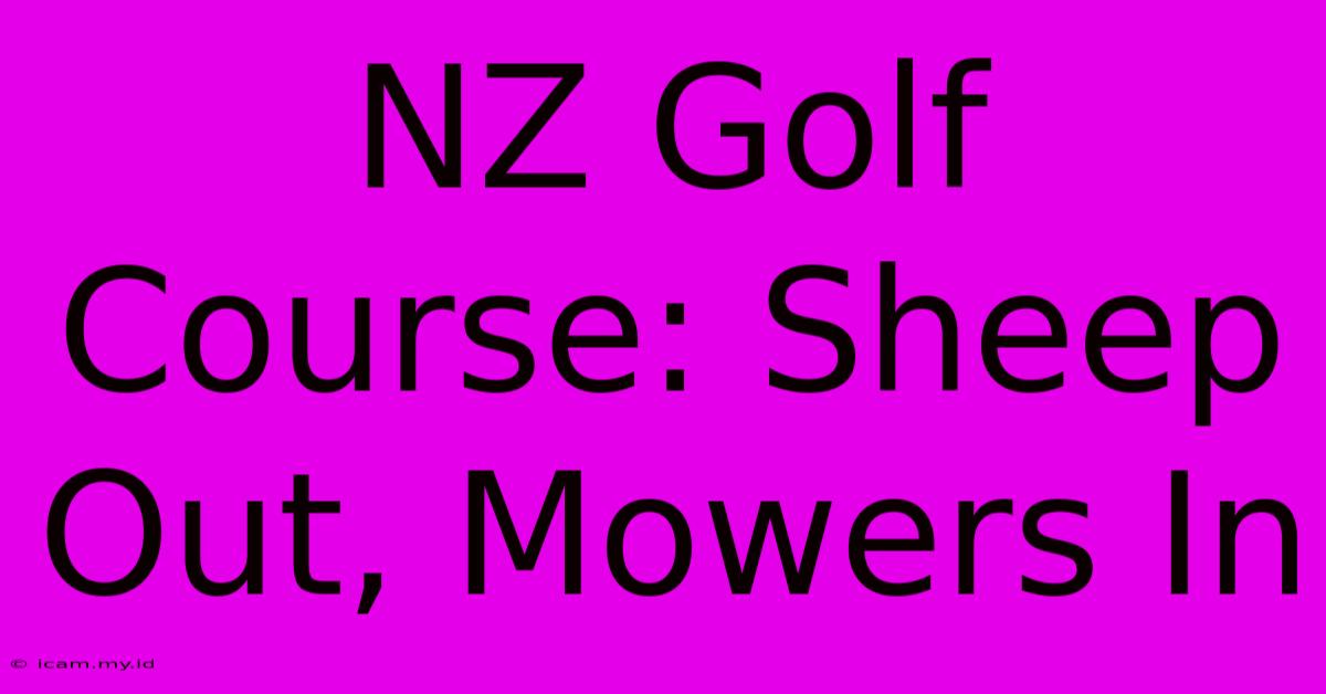 NZ Golf Course: Sheep Out, Mowers In