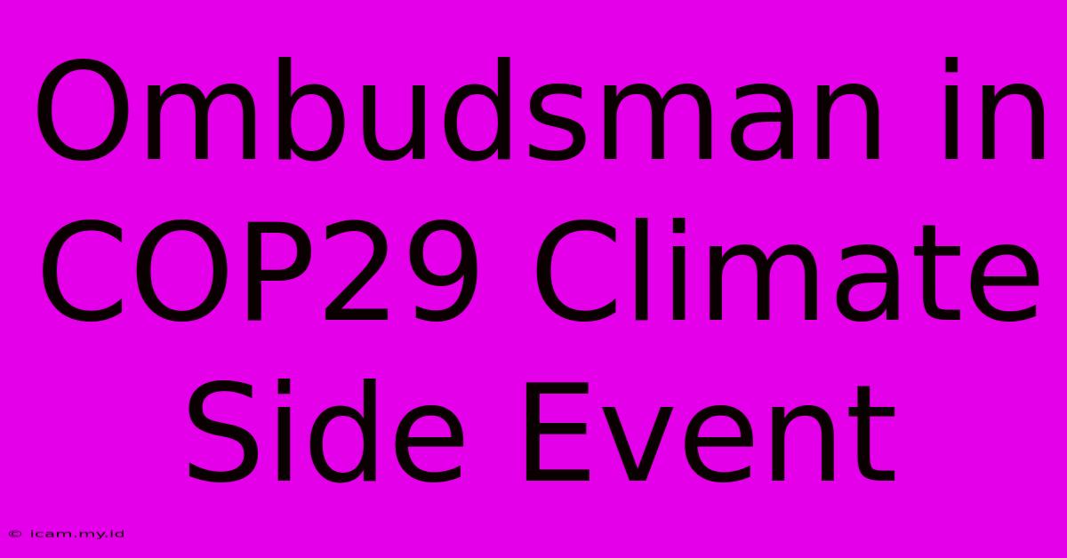 Ombudsman In COP29 Climate Side Event