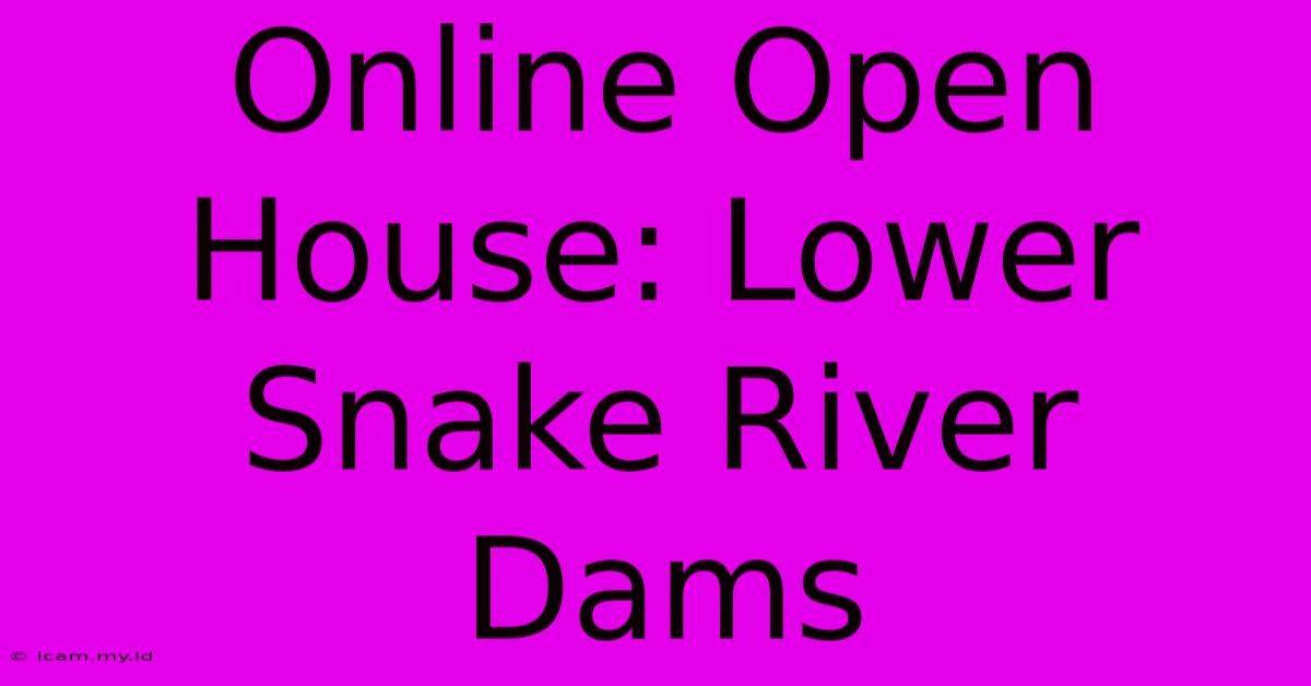 Online Open House: Lower Snake River Dams