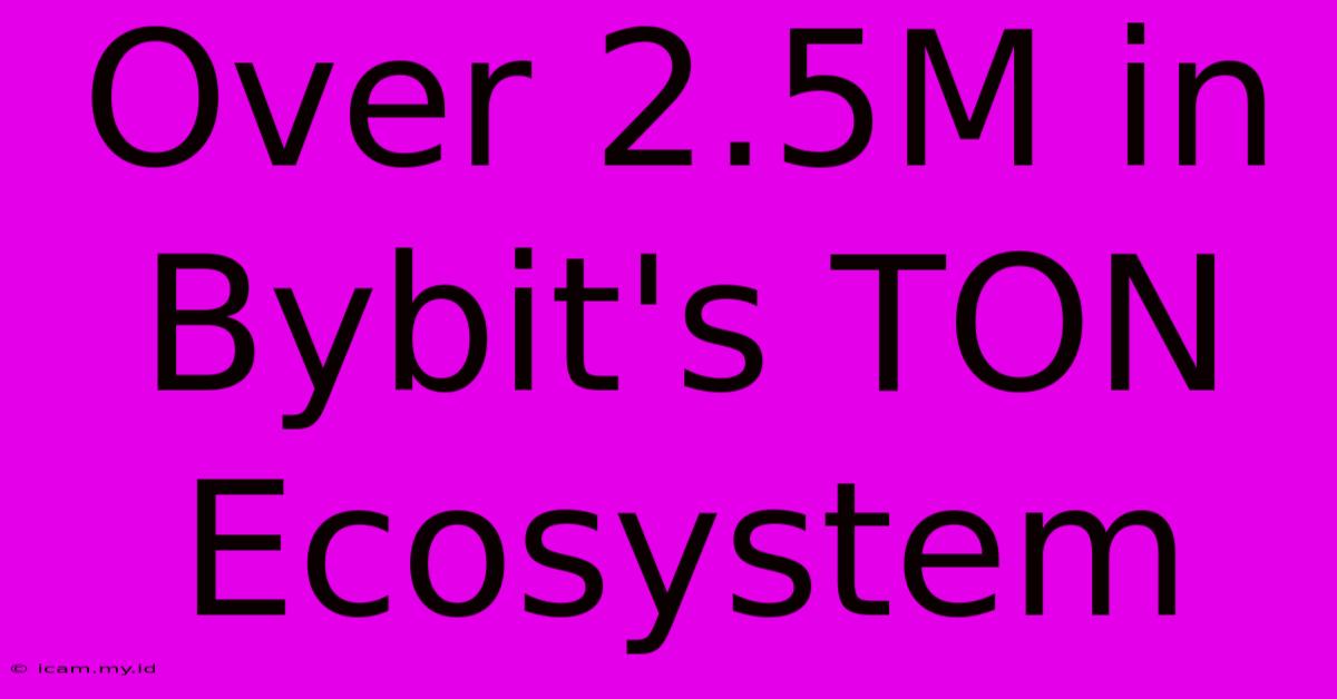 Over 2.5M In Bybit's TON Ecosystem