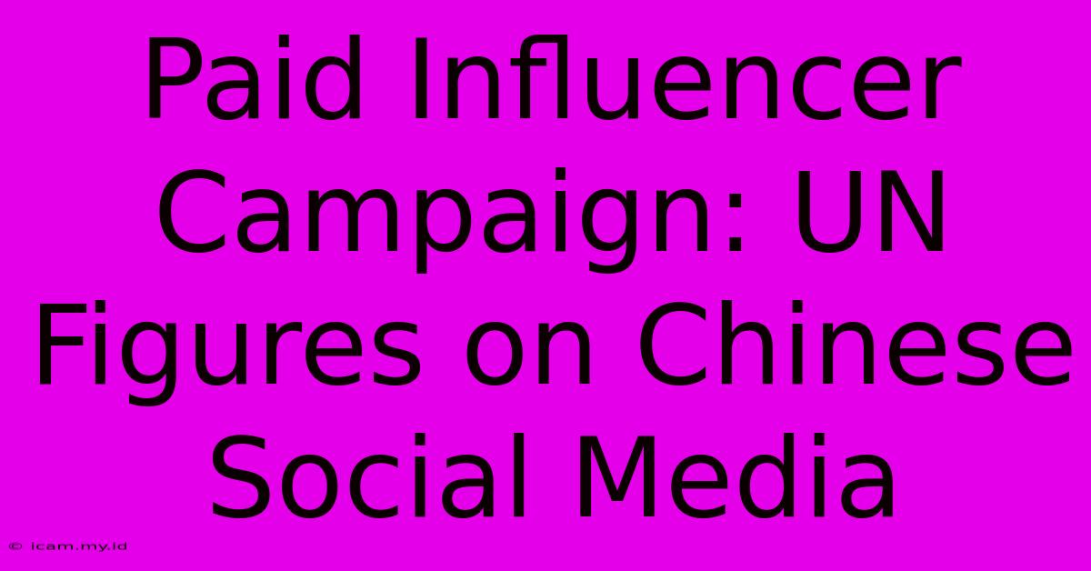 Paid Influencer Campaign: UN Figures On Chinese Social Media