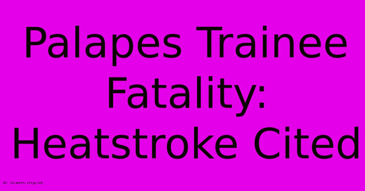 Palapes Trainee Fatality: Heatstroke Cited