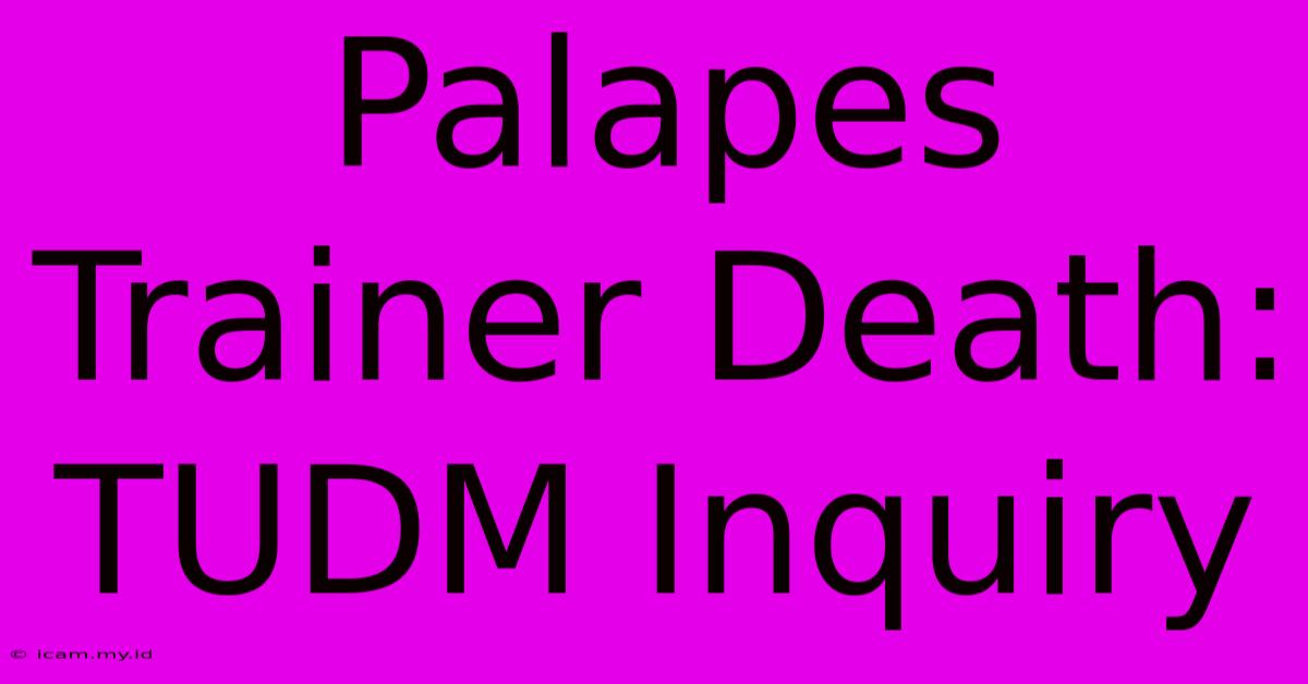 Palapes Trainer Death: TUDM Inquiry