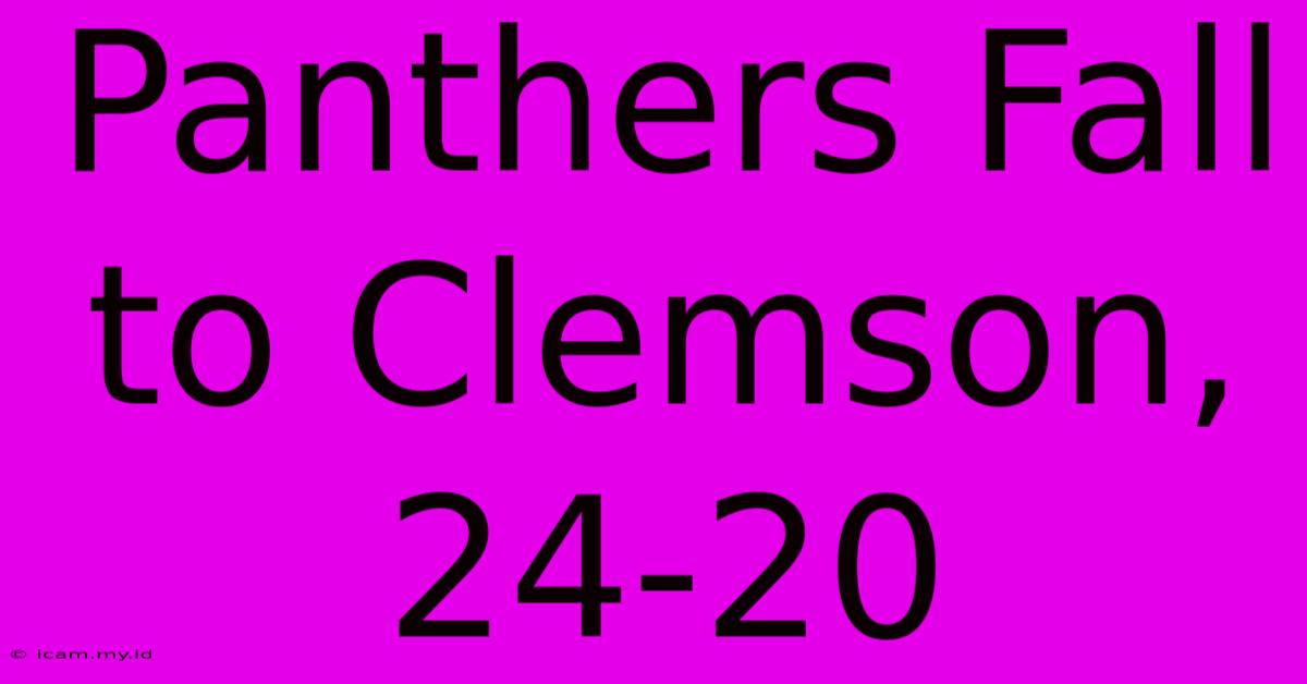 Panthers Fall To Clemson, 24-20