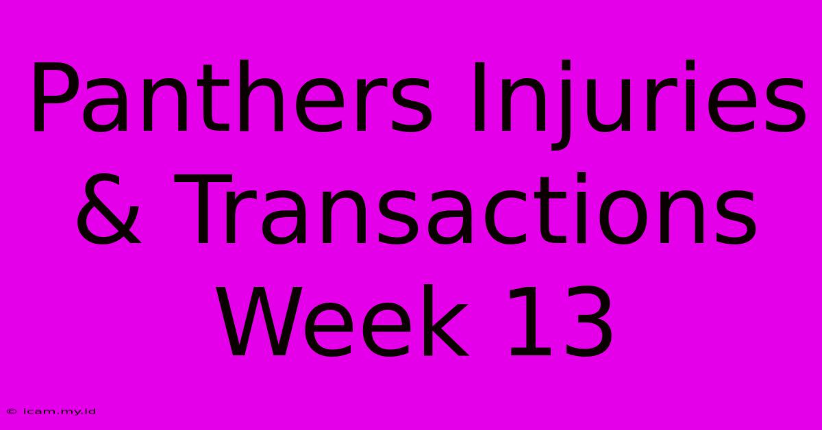 Panthers Injuries & Transactions Week 13