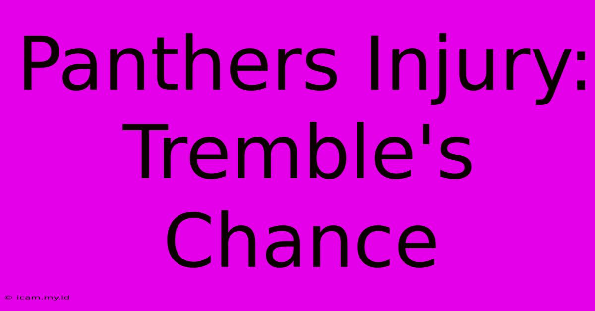 Panthers Injury: Tremble's Chance