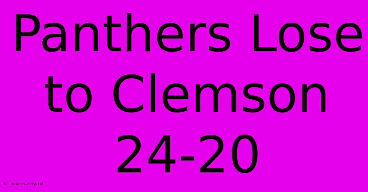 Panthers Lose To Clemson 24-20