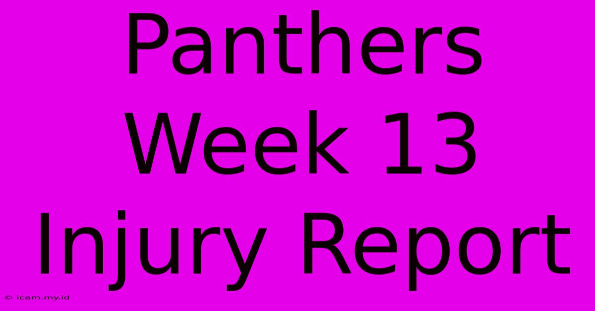 Panthers Week 13 Injury Report