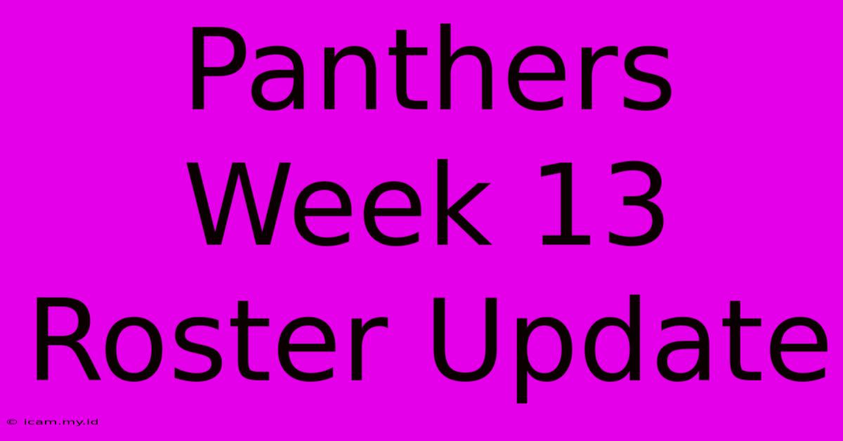 Panthers Week 13 Roster Update