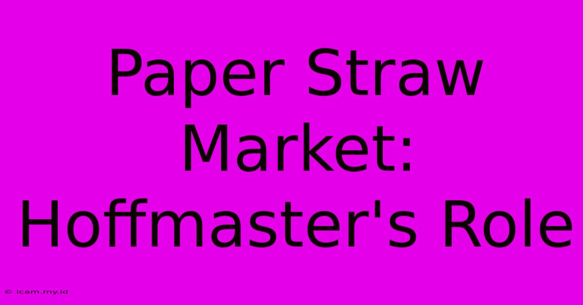 Paper Straw Market: Hoffmaster's Role