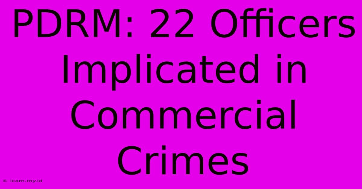 PDRM: 22 Officers Implicated In Commercial Crimes