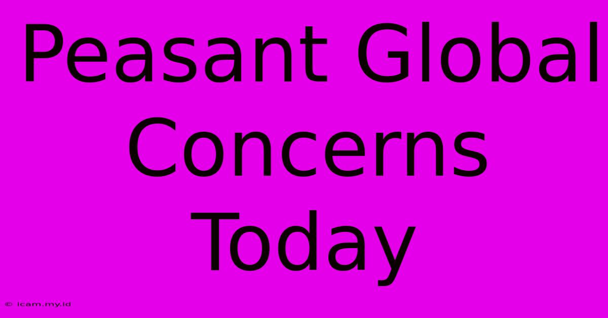 Peasant Global Concerns Today