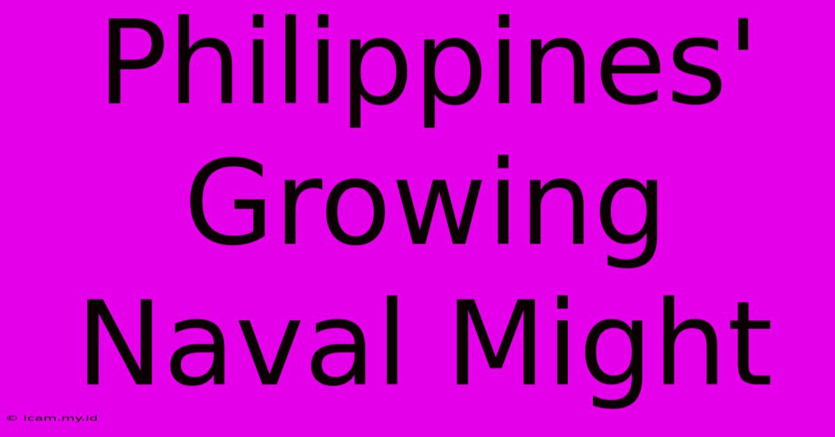 Philippines' Growing Naval Might