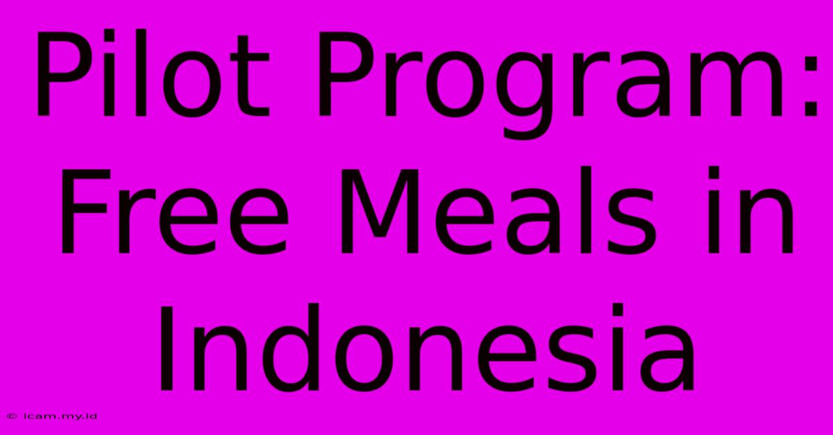 Pilot Program: Free Meals In Indonesia