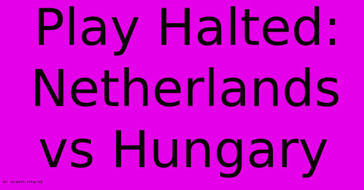 Play Halted: Netherlands Vs Hungary