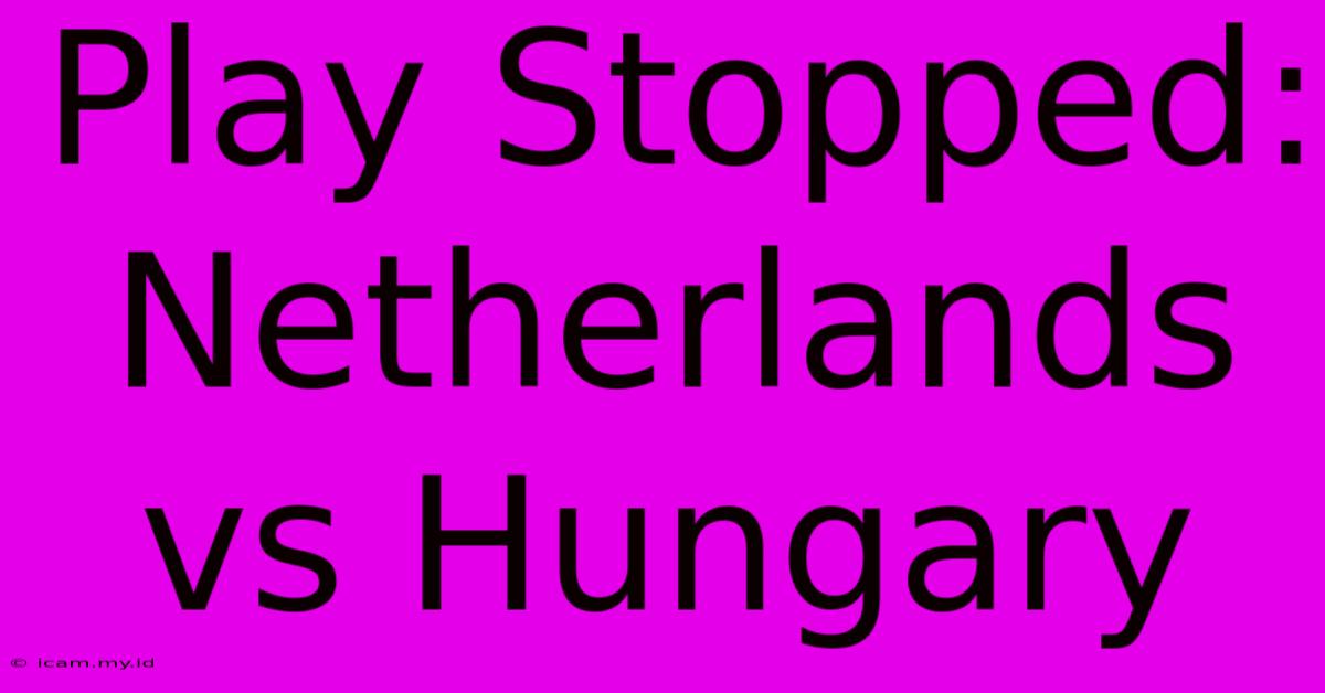 Play Stopped: Netherlands Vs Hungary