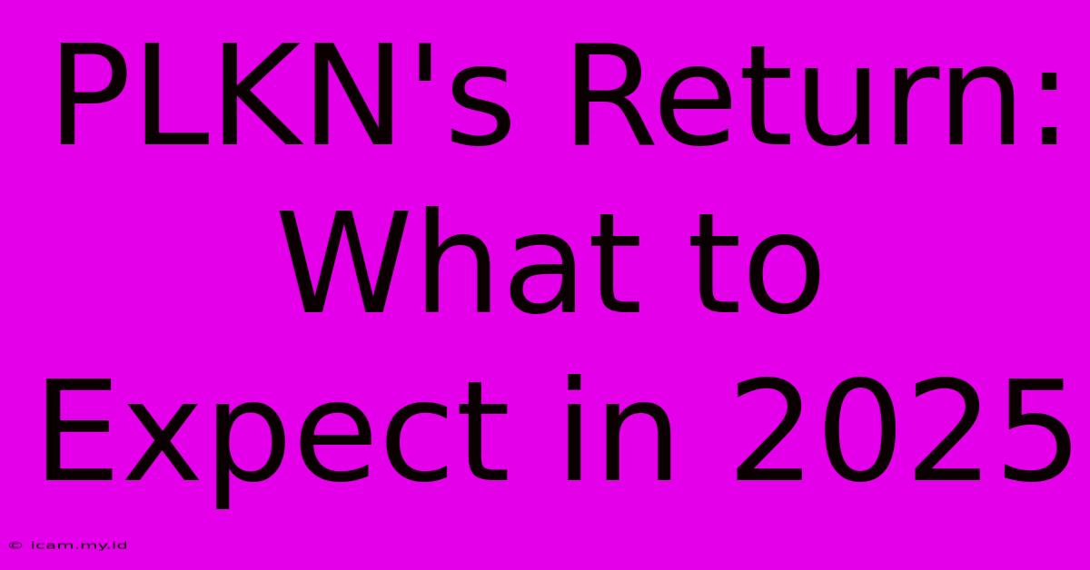 PLKN's Return:  What To Expect In 2025