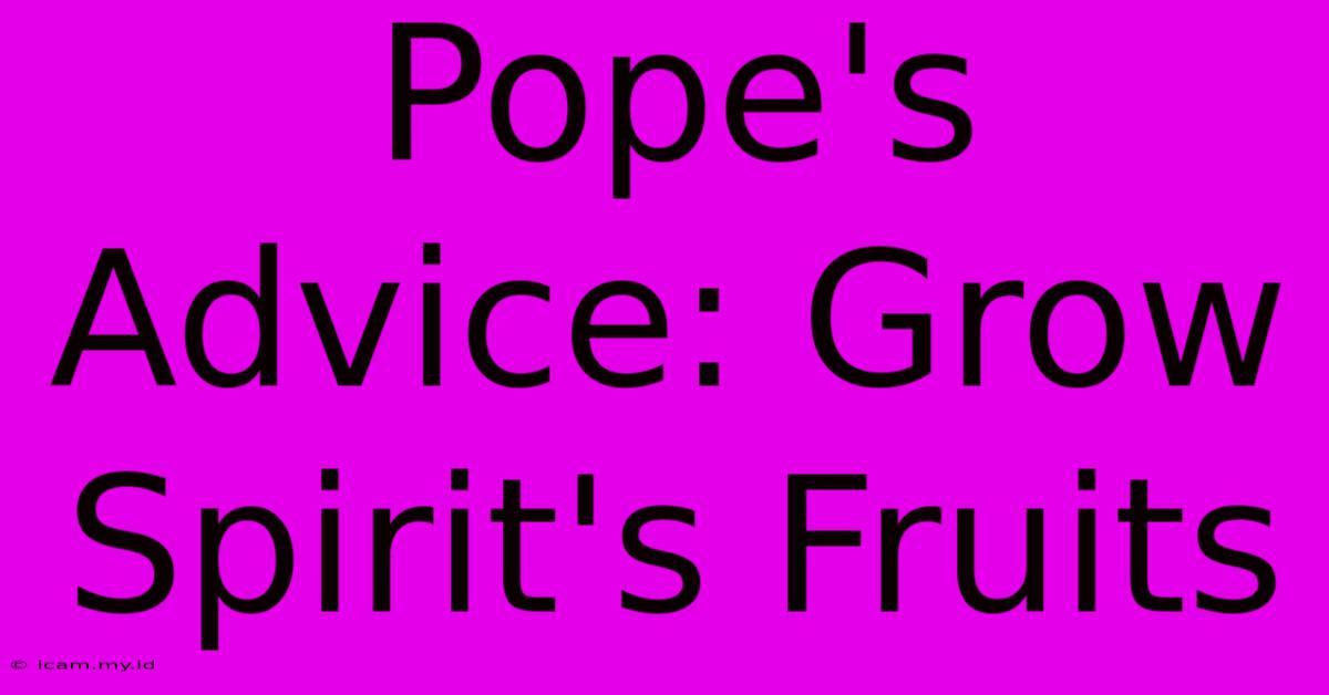 Pope's Advice: Grow Spirit's Fruits