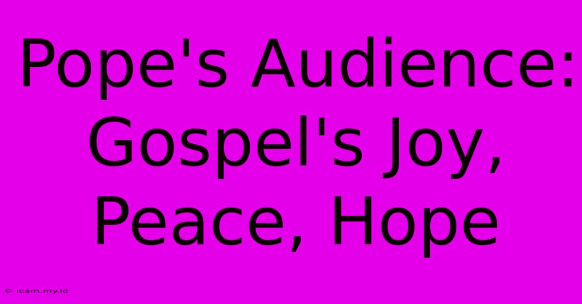 Pope's Audience: Gospel's Joy, Peace, Hope