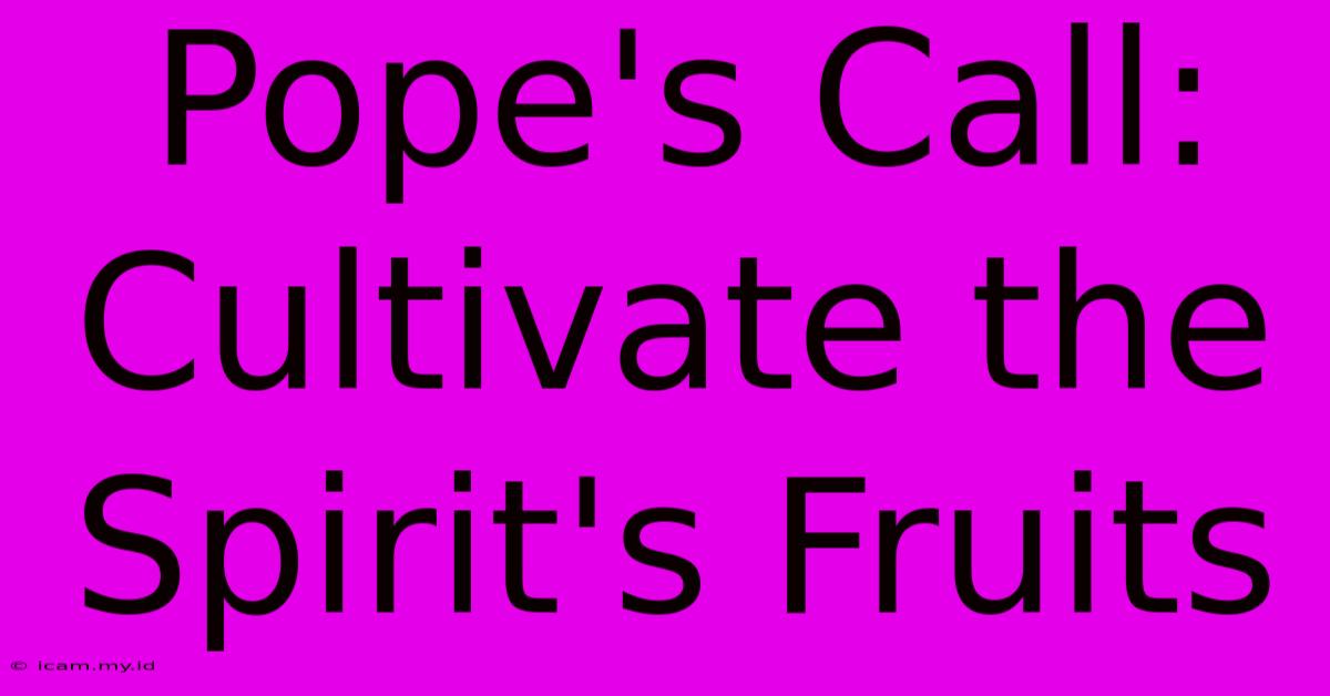 Pope's Call: Cultivate The Spirit's Fruits