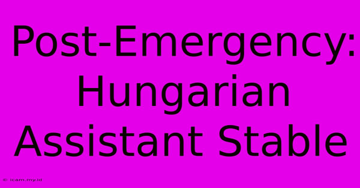 Post-Emergency: Hungarian Assistant Stable